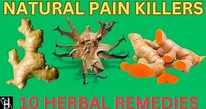 10 Natural Pain Killer's Alternatives To Pain Medications