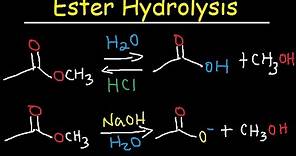 Ester Hydrolysis Reaction Mechanism - Acid Catalyzed & Base Promoted Organic Chemistry