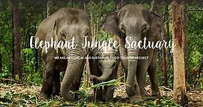 Samui | Elephant Jungle Sanctuary