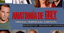 Anatomía de Grey temporada 3 - Ver todos los episodios online