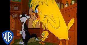 Looney Tunes | Monster Tweety Bird | WB Kids