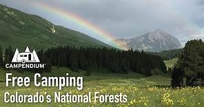 Free Camping in Colorado’s National Forests
