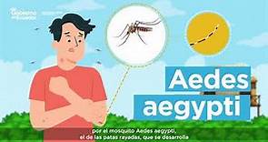 Todos contra el dengue