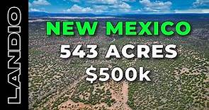 543 Acres of New Mexico Ranch Land for Sale bordering National Forest • LANDIO