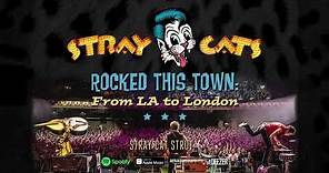 Stray Cats - Stray Cat Strut (LIVE)