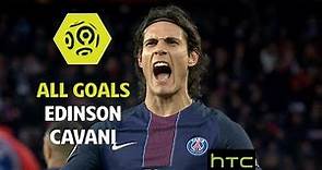 All goals Edinson Cavani - PSG 2016-17 - Ligue 1