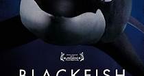 Blackfish - película: Ver online completa en español