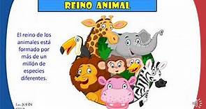 REINO ANIMAL _ CARACTERISTICAS Y CLASIFICACIÓN - Para niños