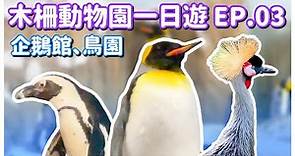 【台北景點】木柵動物園 EP.03 「企鵝館」、「生態鳥園」（完整記錄）Taipei Zoo