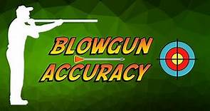 Blowgun Accuracy