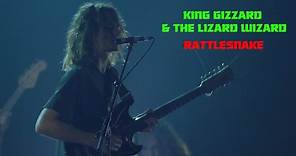 King Gizzard & the Lizard Wizard Perform “Rattlesnake” Live at Webster Hall | Pitchfork Live