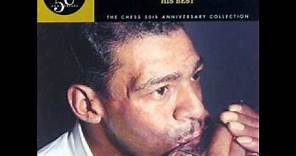little walter- rollercoaster ( His Best, Chess 50th Anniversary Collection) # 13