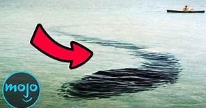 Top 10 Creepiest Sea Monster Sightings of All Time