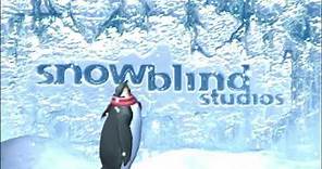 Bink Video/Black Isle Studios/Wizards of the Coast/Snowblind Studios/High Voltage Software (2002)