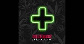 Collie Buddz – "Prescription" (Official Audio)