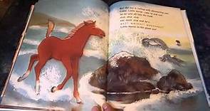 The Wild Little Horse By Rita Grey Read Aloud For Kids