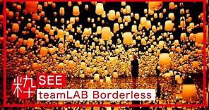 Mori Building DIGITAL ART MUSEUM: teamLAB Borderless