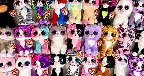 My Beanie Boo Cat Collection!