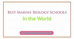 17 Best Marine Biology Schools in the World - Global Scholarships