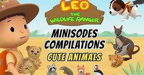 Cute Animals Minisode Compilation - Leo the Wildlife Ranger | Animation | For Kids