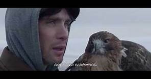 Trailer de No llores, vuela (Aloft) subtitulado en español (HD)