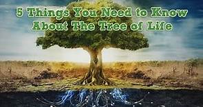 5 Things You Need to Know About The Tree of Life