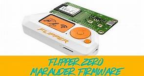 How to flash Marauder Firmware on Flipper Zero WiFi Dev Board ESP32 Module