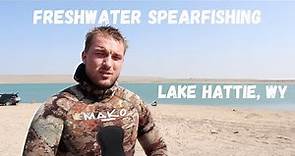 Freshwater Spearfishing - Lake Hattie Review