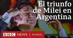 Javier Milei: las propuestas más radicales del presidente electo de Argentina y cuán factibles son