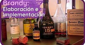 BRANDY HISTORIA 🍇🥃 Como Tomar Brandy