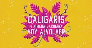 Voy a volver ft. Ximena Sariñana (Official Lyric Video) 💓