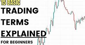 Trading Terms Explained (Trading Terms for Beginners)