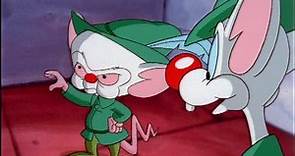 Pinky and the Brain Season 4 Episode 4