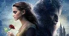 Beauty and the Beast (2017) Online - Película Completa en Español - FULLTV