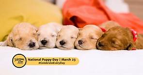 NATIONAL PUPPY DAY - March 23