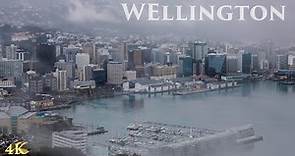 Wellington Drive | Rainy Day | City Centre to Mt Victoria Lookout | New Zealand Walking Tour 4K 2021