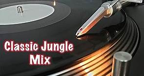 Jungle Music Mix 1994-1998 - Old Skool Jungle Classics