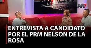 Entrevista precandidato a diputado por el PRM Nelson de la Rosa