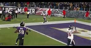 Steven Sims 67-Yard PUNT RETURN TOUCHDOWN!! | Houston Texans vs Baltimore Ravens