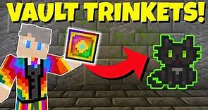 What Are Trinkets and How Do They Work?! - Vault Hunters 1.18 Guide