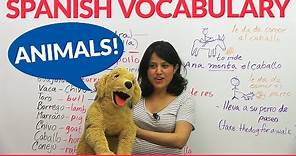 Learn Animal Vocabulary in Spanish!