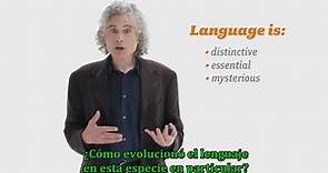 Steven Pinker - La lingüística como ventana a nuestra mente - Subtitulado
