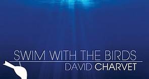 Swim With the Birds - David Charvet: Song Lyrics, Music Videos & Concerts