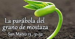 Parábola de la semilla de mostaza | Explicación | Parroquia Jesús Obrero