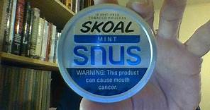 The Skoal Mint Snus Review