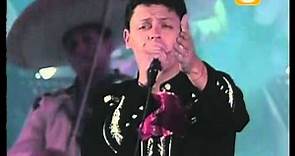 Pedro Fernández, Mi Forma de Sentir, Festival de Viña 1998