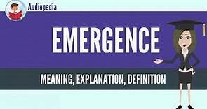 What Is EMERGENCE? EMERGENCE Definition & Meaning