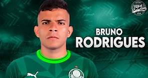 Bruno Rodrigues ► Bem vindo ao Palmeiras (OFICIAL) ● 2023 | HD