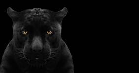 Spiritual Meaning And Symbolism Of A Black Panther