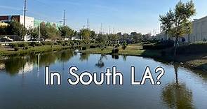 A Glimpse at the South Los Angeles Wetlands Park